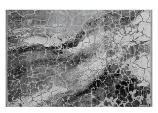 Mirabella Rug Whiteline