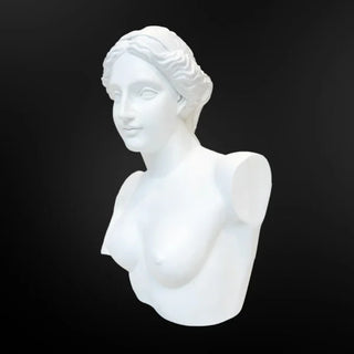 VENUS BUSTO Sculpture by Mubb - DEKOR