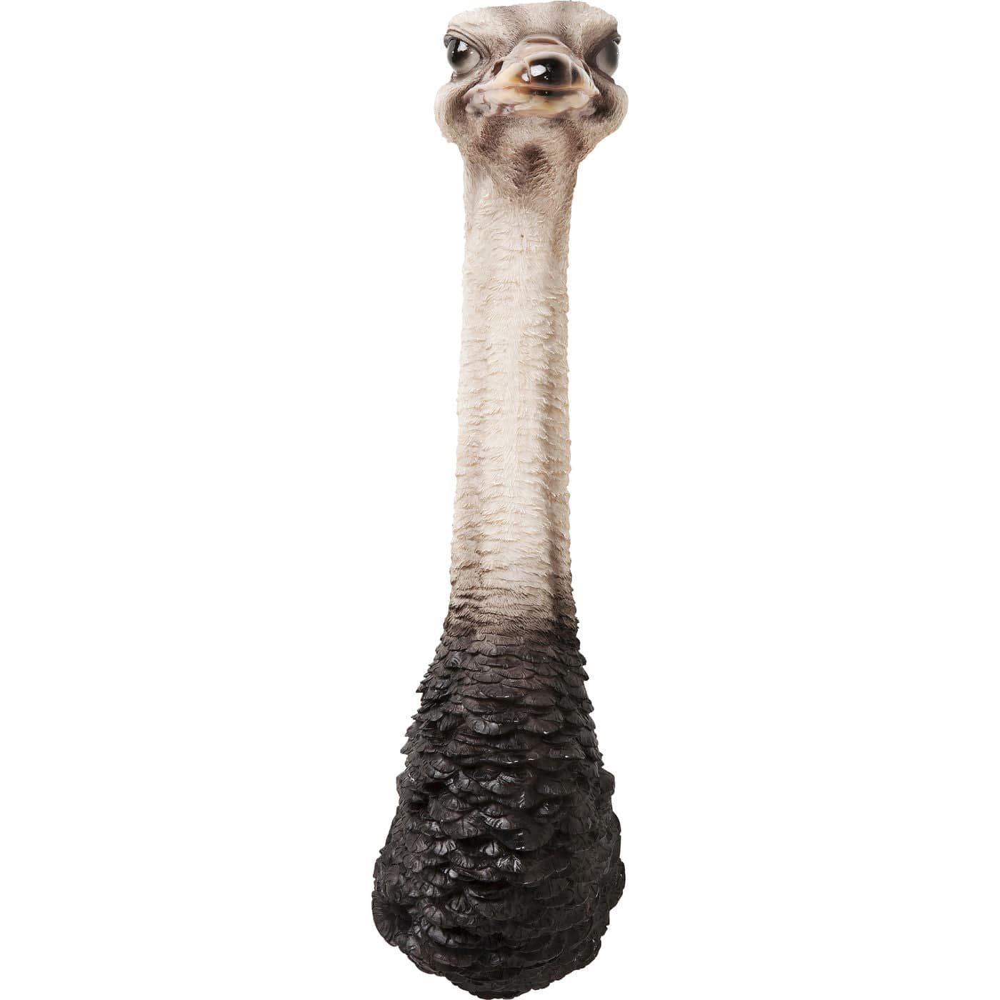 wall-decoration-ostrich - JULIA VENCE STORE