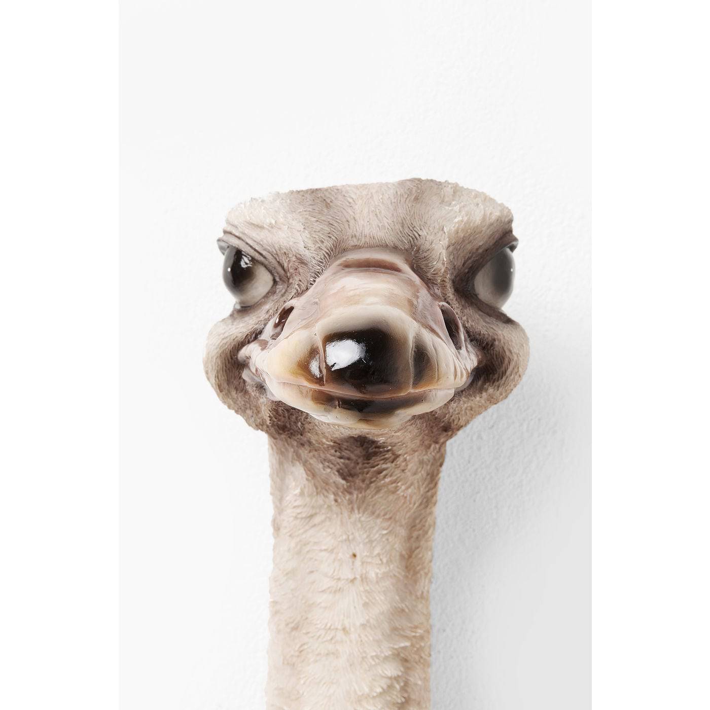 wall-decoration-ostrich - JULIA VENCE STORE