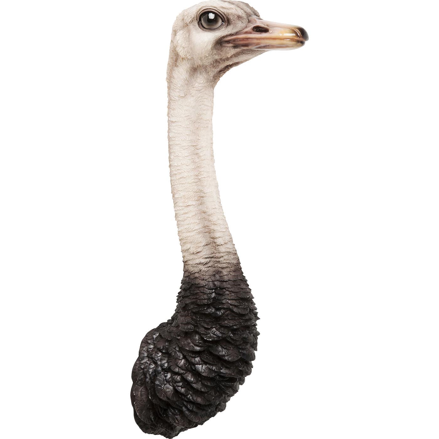 wall-decoration-ostrich - JULIA VENCE STORE