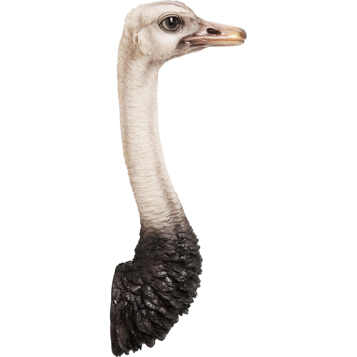 wall-decoration-ostrich - JULIA VENCE STORE
