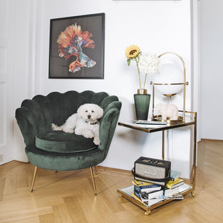 Armchair Water Lily Gold Dark Green - DEKOR