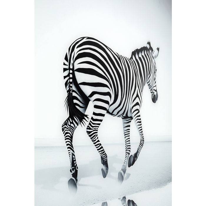 Picture Glass Savanna Zebra 120x120 - JULIA VENCE STORE