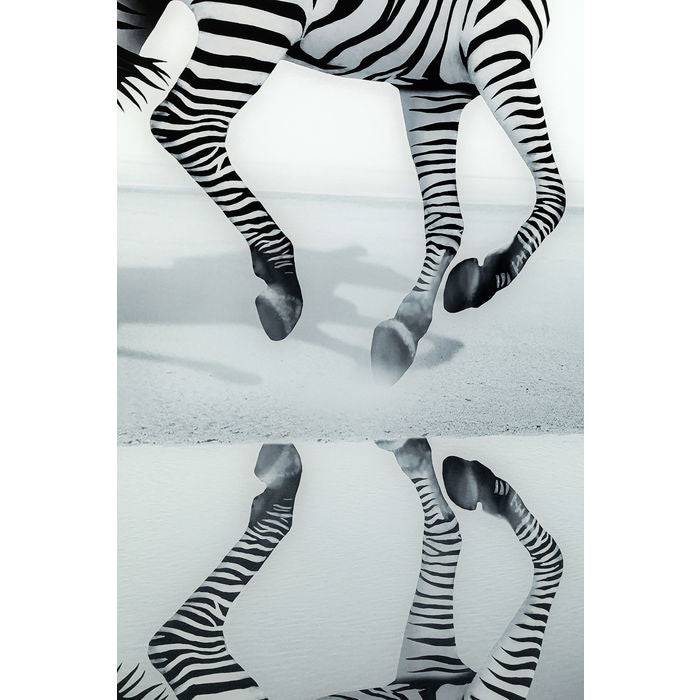 Picture Glass Savanna Zebra 120x120 - JULIA VENCE STORE