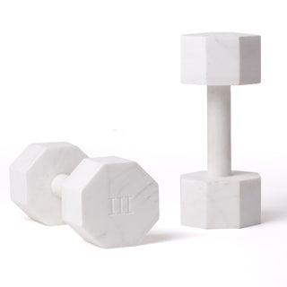 Lvdis Set 2 Dumbell KG. 3 SELETTI