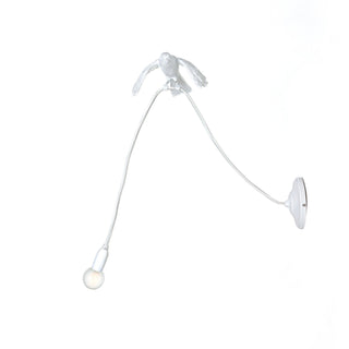 Sparrow Lamp Wall Lamp - Taking off SELETTI