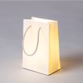 Daily Glow Shopper DEKOR