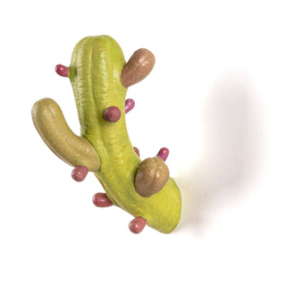 Cactus Coloured DEKOR