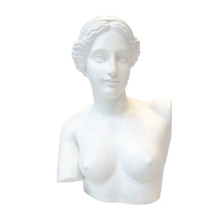 VENUS BUSTO Sculpture by Mubb - DEKOR