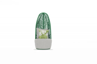 Basil Outdoor Chair Whiteline
