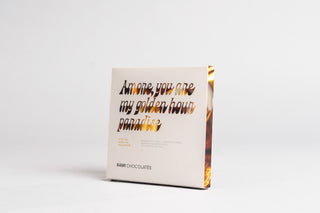 Sugar Free Golden Milk Chocolate - DEKOR