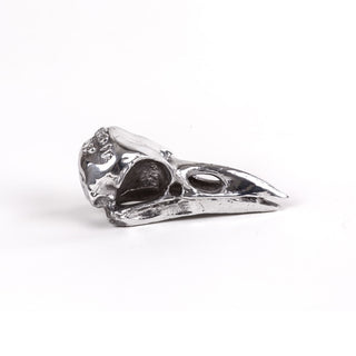 Wunderkammer Bird Skull SELETTI