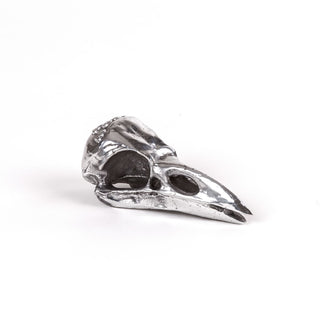 Wunderkammer Bird Skull SELETTI