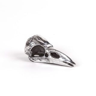 Wunderkammer Bird Skull SELETTI