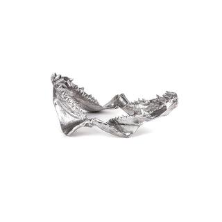 Wunderkammer Shark Jaw SELETTI