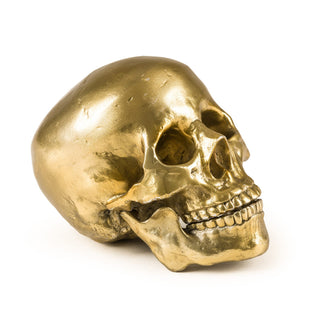 Wunderkrammer Human Skull SELETTI