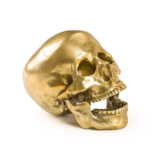 Wunderkrammer Human Skull SELETTI
