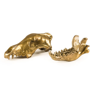 Wunderkrammer Wolf Skull DEKOR
