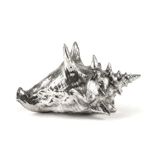 Wundekammer Shell SELETTI