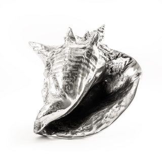 Wundekammer Shell SELETTI