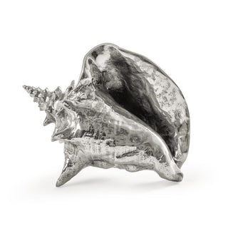Wundekammer Shell SELETTI