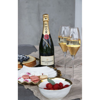 Champagne Glass Gobi - DEKOR