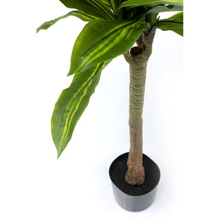 Deco Plant Dracaena Fragrans 180 KARE MIAMI