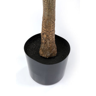 Deco Plant Dracaena Fragrans 180 KARE MIAMI