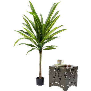 Deco Plant Dracaena Fragrans 180 KARE MIAMI