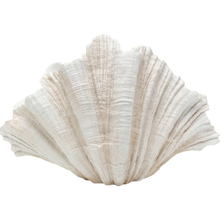 Deco Vase Concha 57cm - DEKOR