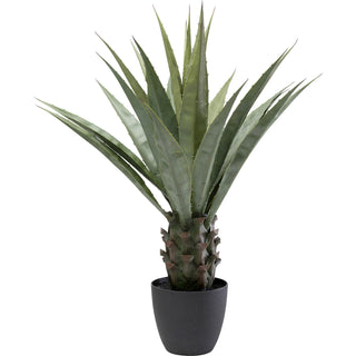 Deco Plant Agave 85cm - DEKOR