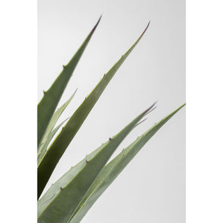 Deco Plant Agave 85cm - DEKOR