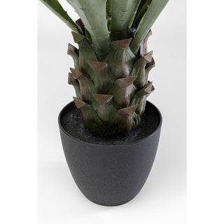 Deco Plant Agave 85cm - DEKOR