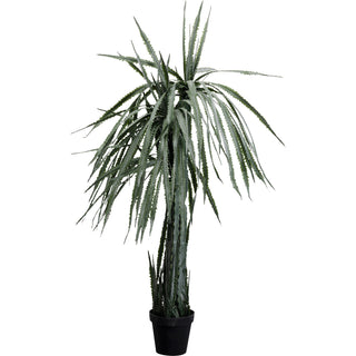 Deco Plant Dragon Tree 155cm - DEKOR