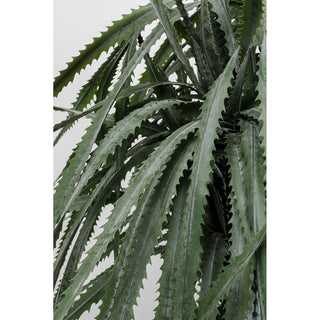 Deco Plant Dragon Tree 155cm - DEKOR