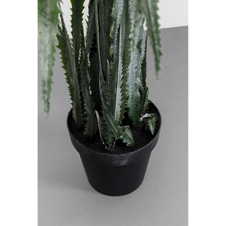 Deco Plant Dragon Tree 155cm - DEKOR