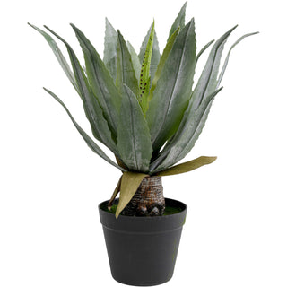 Deco Plant Agave 40cm - DEKOR