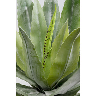 Deco Plant Agave 40cm - DEKOR