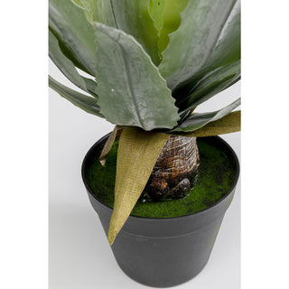 Deco Plant Agave 40cm - DEKOR