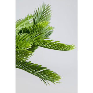 Deco Plant Cycas 70cm - DEKOR