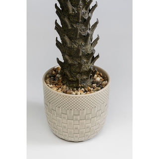 Deco Plant Cycas 70cm - DEKOR