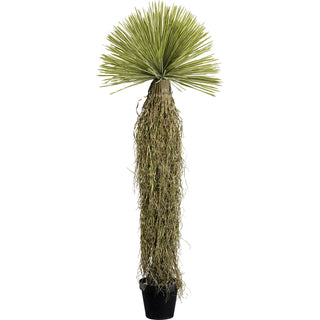 Deco Plant Yucca 180cm - DEKOR