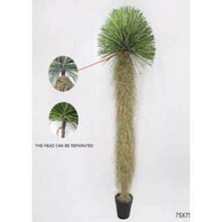 Deco Plant Yucca Rostrata 240cm - DEKOR