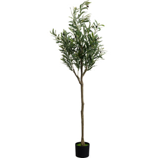 Deco Plant Olive Tree 150cm KARE MIAMI