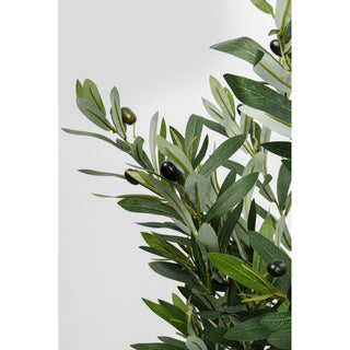 Deco Plant Olive Tree 150cm KARE MIAMI