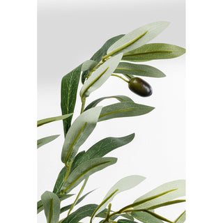 Deco Plant Olive Tree 150cm KARE MIAMI