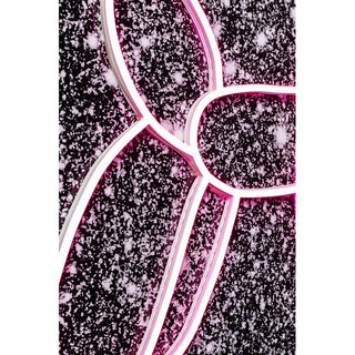 Glass Picture Balloon Dog LED 80x80cm KARE MIAMI