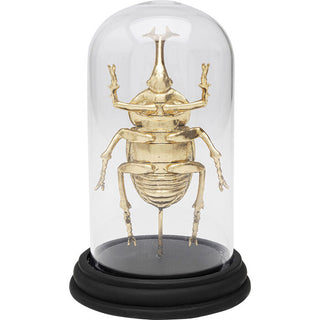 Deko Object Stag Beetle 20cm KARE MIAMI