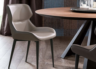 Morocco Dining Chair Whiteline